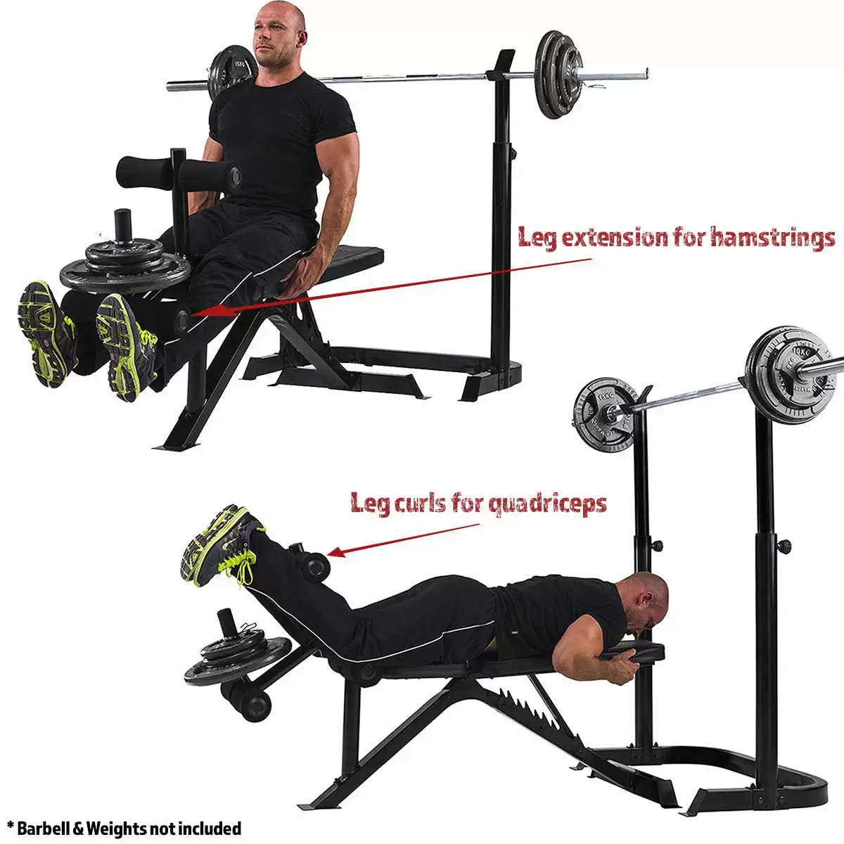 Marcy BE3000 Eclipse Adjustable Weight Bench & Squat Rack for home gym